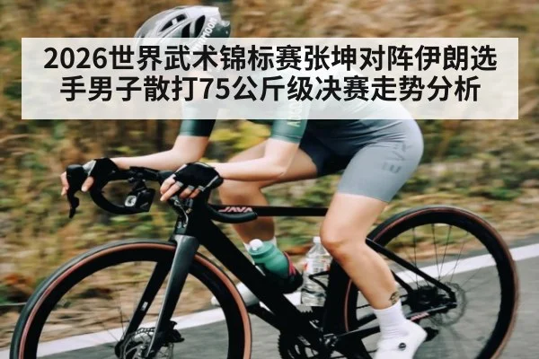 2026世界武术锦标赛张坤对阵伊朗选手男子散打75公斤级决赛走势分析